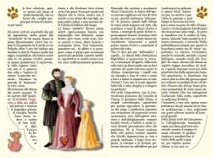pag8